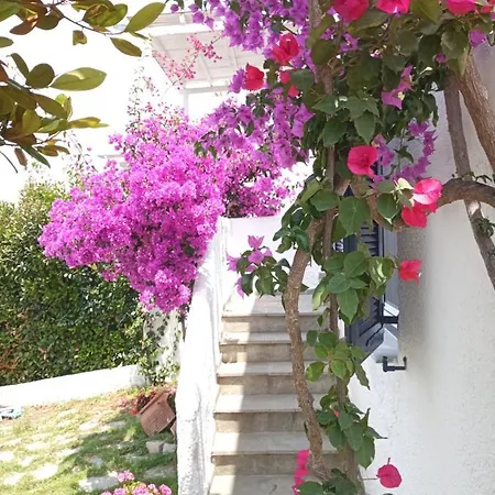 Tatil Evi Danai Toroni