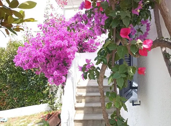 Σπίτι διακοπών Danai Τορώνη